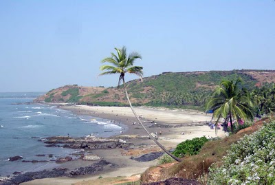 Le Seasons Beach Resort Goa- Booking for Le Seasons Beach Resort Goa